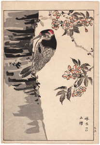 original Imao Keinen Japanese woodblock print birds and flowers 1885